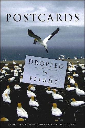 Postcards Dropped in Flight: In Praise of Avian Companions (Paperback)