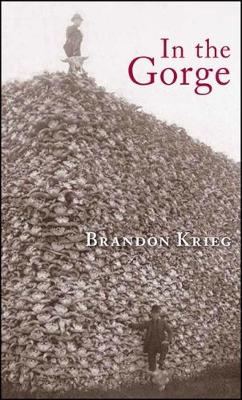 In the Gorge: Poems (Paperback)