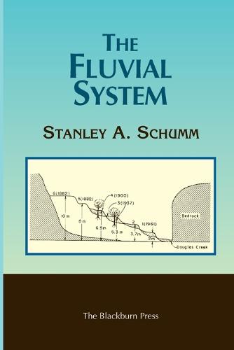 The Fluvial System (Paperback)