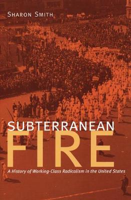 Subterranean Fire: A History of Working-Class Radicalism in the United States (Paperback)