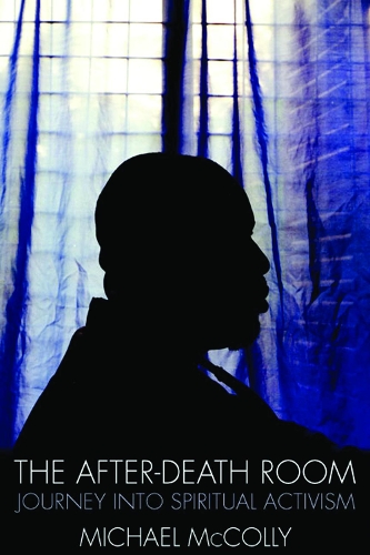 The After-Death Room: Journey Into Spiritual Activism (Paperback)