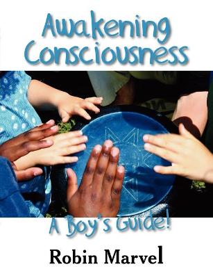 Awakening Consciousness: A Boy's Guide! (Paperback)