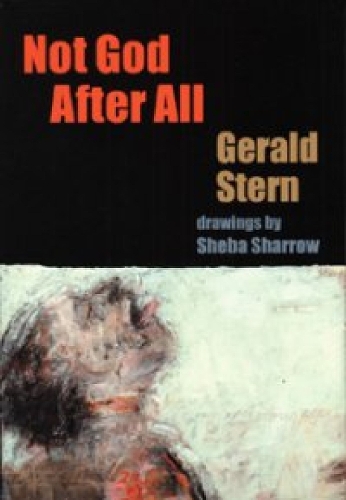 Not God After All (Hardback)