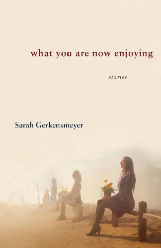 What You Are Now Enjoying (Paperback)