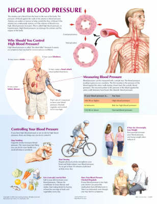 High Blood Pressure Chart - Netter Charts (Poster)
