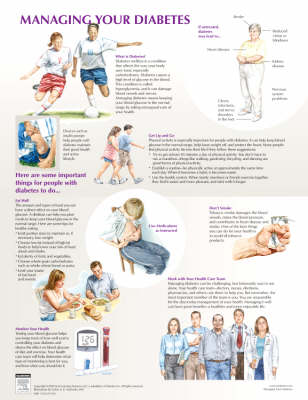 Managing Your Diabetes Chart - Netter Charts (Poster)