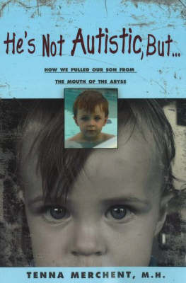 He's Not Autistic But...: How We Pulled Our Son from the Mouth of the Abyss (Paperback)
