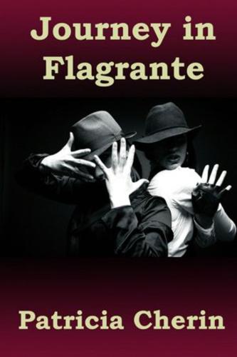 Journey In Flagrante (Paperback)