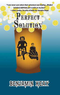 Perfect Solution (Paperback)