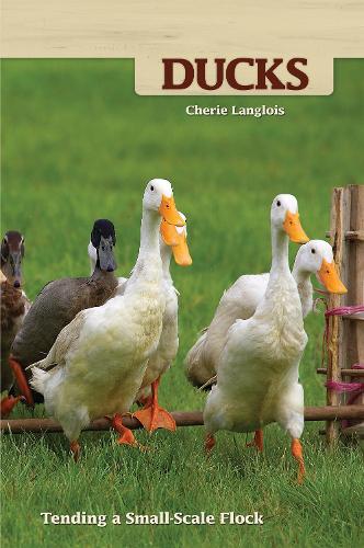 Ducks: Tending a Small-Scale Flock for Pleasure and Profit (Paperback)
