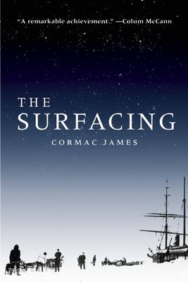The Surfacing (Paperback)