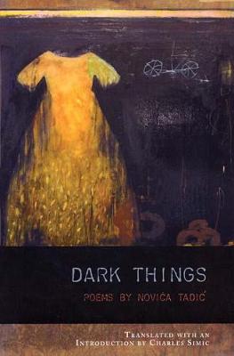 Dark Things - Lannan Translations Selection Series (Paperback)