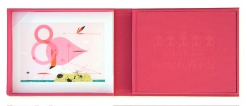 Birds and Words (Hardback)