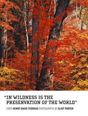 In Wildness is the Preservation of the World (Hardback)