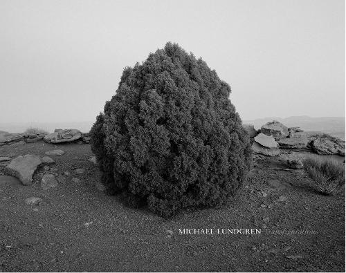 Michael Lundgren: Transfigurations (Hardback)
