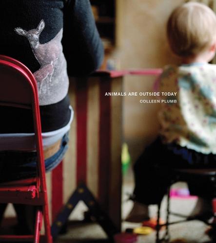 Colleen Plumb - Animals are Outside Today (Hardback)