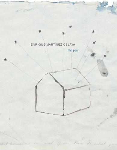 Enrique Martinez Celaya (Hardback)