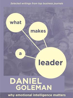 What Makes a Leader: Why Emotional Intelligence Matters (Paperback)