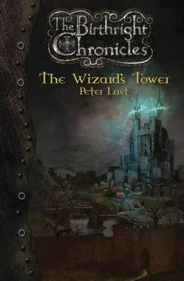 The Wizard's Tower: The Birthright Chronicles (Paperback)
