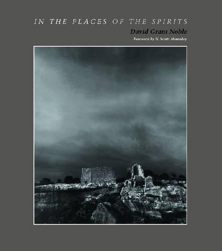 In the Places of the Spirits (Hardback)