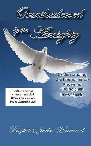 Overshadowed by the Almighty (Paperback)