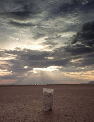 In This Place / En Este Lugar (Paperback)