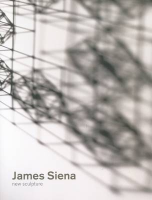 James Siena - New Sculptures (Paperback)