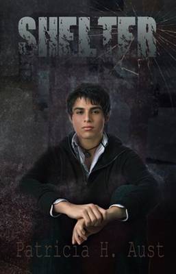 Shelter (Hardback)
