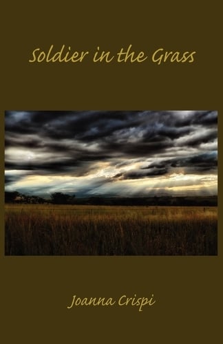 Soldier in the Grass (Paperback)