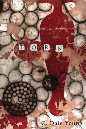 Torn (Paperback)
