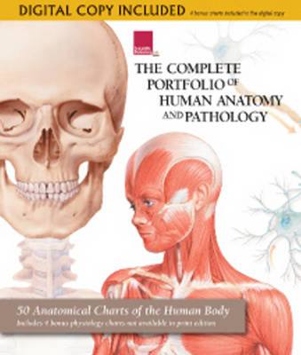 Complete Portfolio of Human Anatomy and Pathology (Hardback)