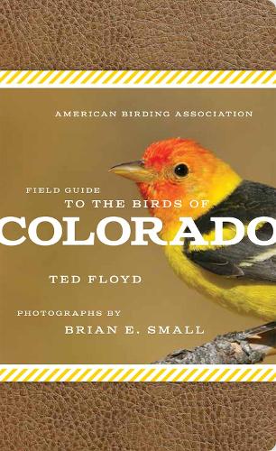 American Birding Association Field Guide to the Birds of Colorado (Paperback)