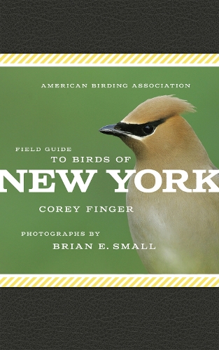 American Birding Association Field Guide to Birds of New York (Paperback)