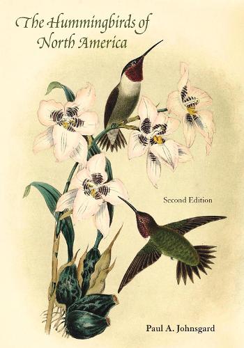 Hummingbirds of North America (Paperback)
