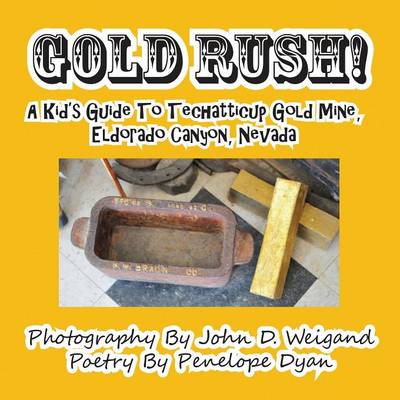 Gold Rush! a Kid's Guide to Techatticup Gold Mine, Eldorado Canyon, Nevada (Paperback)