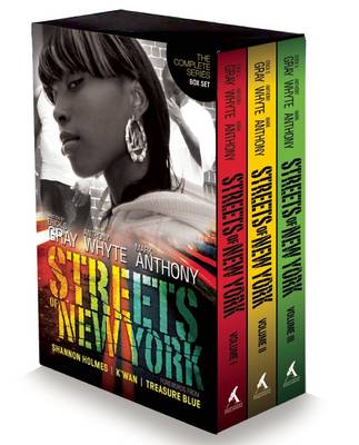 Streets of New York (Paperback)