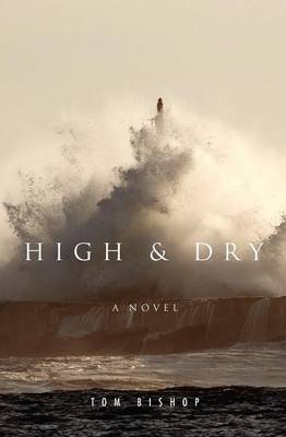 High & Dry (Paperback)