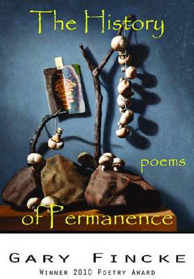 The History of Permanence (Paperback)