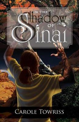 In the Shadow of Sinai (Paperback)