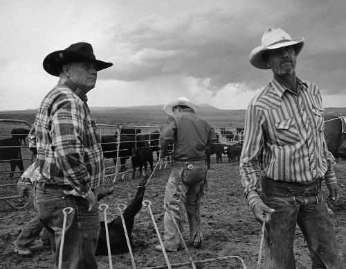 John Langmore - Open Range (Hardback)