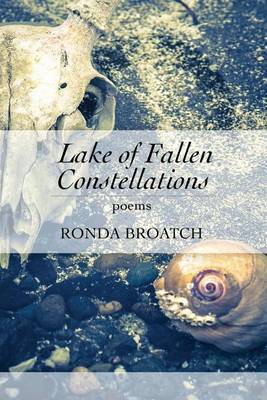 Lake of Fallen Constellations (Paperback)