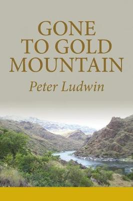 Gone to Gold Mountain (Paperback)