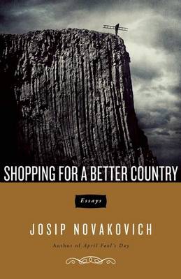 Shopping For A Better Country: Essays (Paperback)