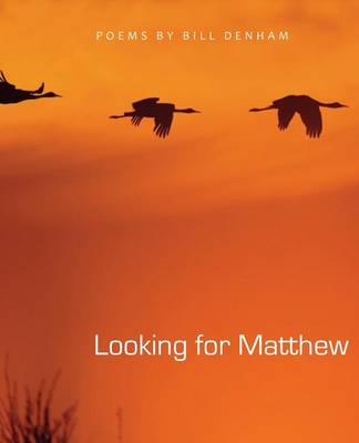 Looking for Matthew (Paperback)