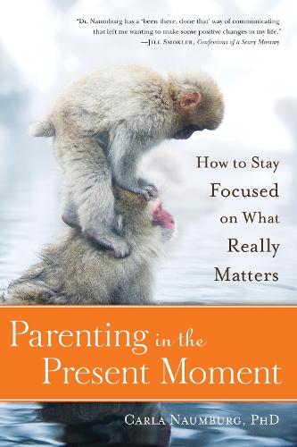 Parenting In The Present Moment (Paperback)