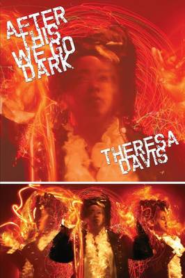 After This We Go Dark (Paperback)