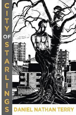 City of Starlings (Paperback)