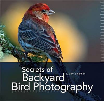 Secrets of Backyard Bird Photography (Hardback)