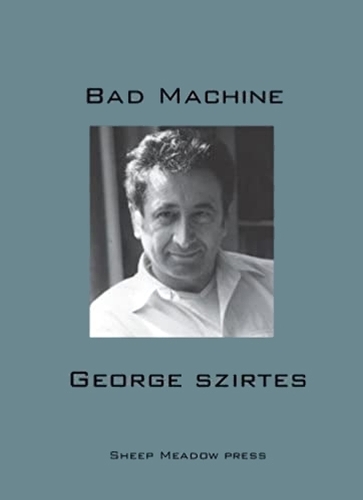 Bad Machine (Paperback)