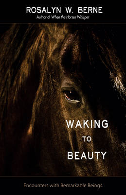 Waking to Beauty: Encounters with Remarkable Beings (Paperback)